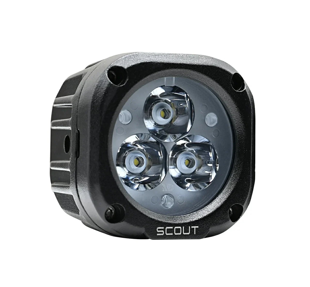 Scout