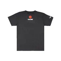 DSG Motorsport T-Shirt - GREY - 1748240642WCJR - Master